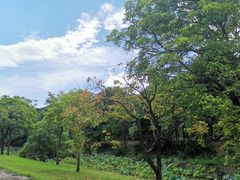 -福建鲤鱼洲酒店