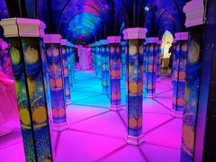 -天津梵高星空艺术馆(天河城旗舰店)