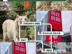 -贵州森林野生动物园