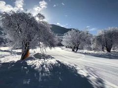 -太子岭滑雪场