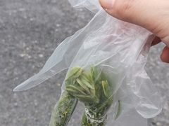 -千岛湖龙川湾