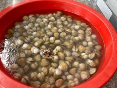 -启东黄金海滩景区