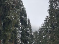 -太阳湾风景区