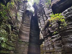 -梭布垭石林景区