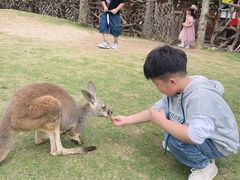 -泉州海丝野生动物世界