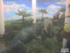 -吉林省自然博物馆