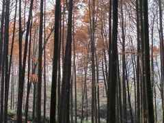 -波尔登森林公园