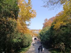 -灵谷景区