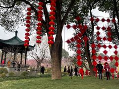 -无锡梅园公园
