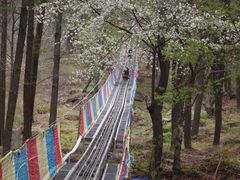 -沂蒙山旅游区云蒙景区(蒙山国家森林公园)