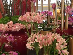 -北京中国大饭店