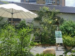 -Jo's Garden