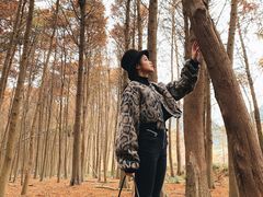 -小芝红树林