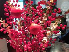 -松鹤楼(山塘街店)