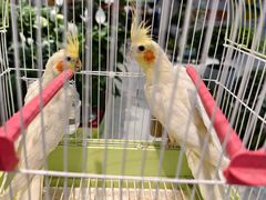 -大润发(东关世茂店)