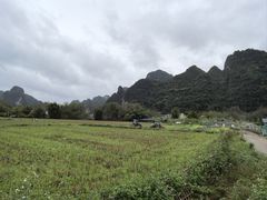 -明仕田园