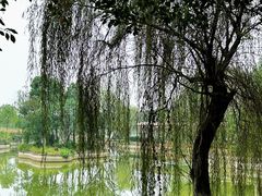 -千龙湖生态旅游度假区