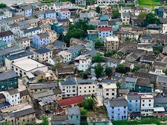 -长寿村