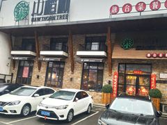 -山楂树融合菜餐厅