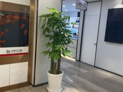 -牙博士口腔品牌连锁(杨浦店)