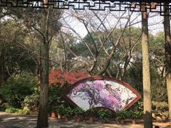 -汇龙潭