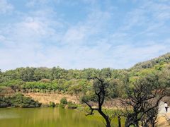 -南国桃园旅游度假区