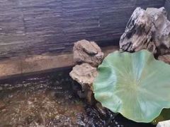 -知足堂养生会所(碑亭巷店)