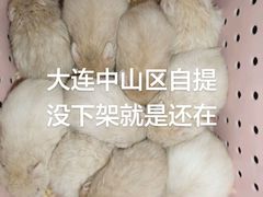 -叶氏兄弟果业(大连鲁迅店)