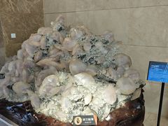 -湖南省地质博物馆