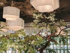 -绿茶餐厅(广州天河城店)