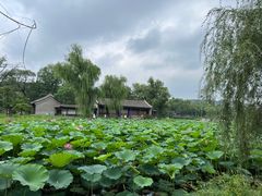 -承德避暑山庄景区