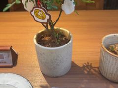 -CURRY YA 熟成咖哩專門店(深圳湾万象城店)