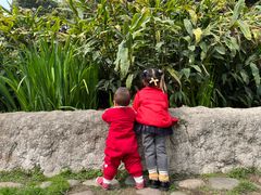 -成都市活水公园