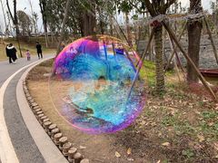 -枫香湖儿童公园