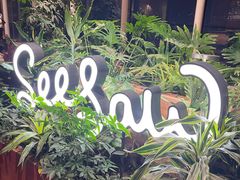 -Seesaw Coffee(朝阳大悦城店)