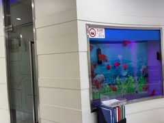 -雅悦齿科(顾村公园店)