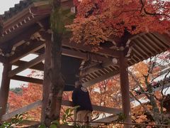 -常寂光寺
