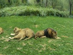 -北京野生动物园