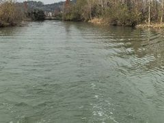 -白塔湖国家湿地公园