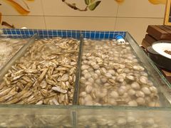 -喜来登酒店-盛宴标帜海鲜自助
