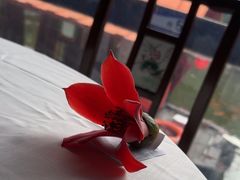 -侨美·唐荔园·40年地道粤菜