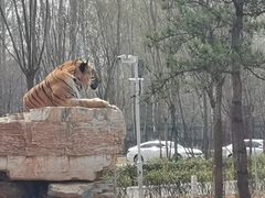 -秦皇岛野生动物园
