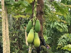 -南通洲际绿博园