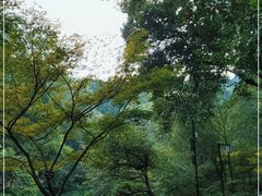 -岳麓山风景名胜区