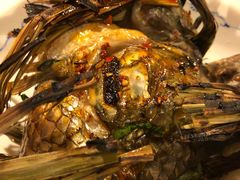 -多哥水傣味餐厅(司马巷店)