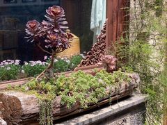 -YLK云南小粒咖啡·云里咖(二号店)