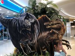 -TOYSRUS玩具反斗城(上海万象城店)