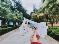 -宋井风景区