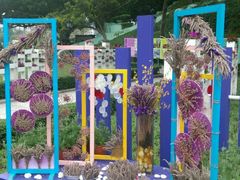 -龙环葡韵住宅式博物馆