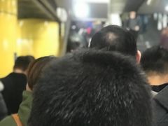 -海淀黄庄(地铁站)